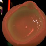 1b588fbea43b68b634d67b9d8370e250